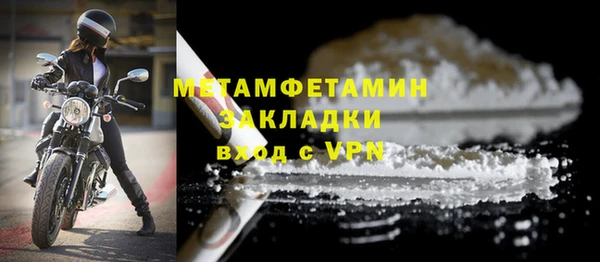 шишки Осташков