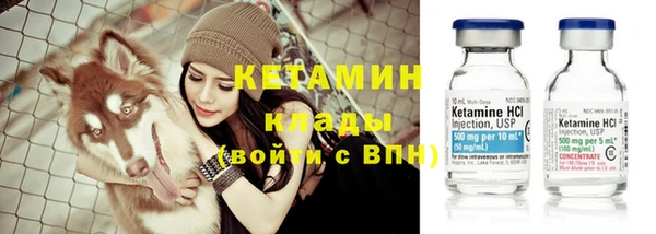 шишки Осташков