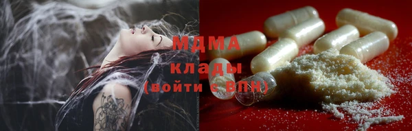 PSILOCYBIN Няндома