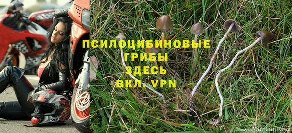 скорость Осинники