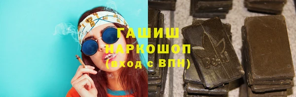 PSILOCYBIN Няндома