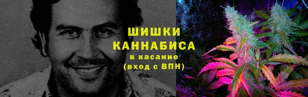 шишки Осташков