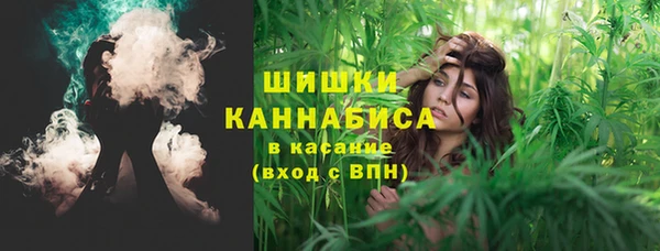 PSILOCYBIN Няндома
