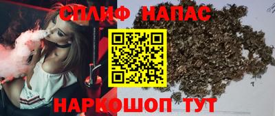 СК Гусь-Хрустальный