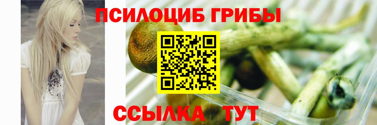 Изобильный  Галлюциногенные грибы ЛСД  Вход с VPN 